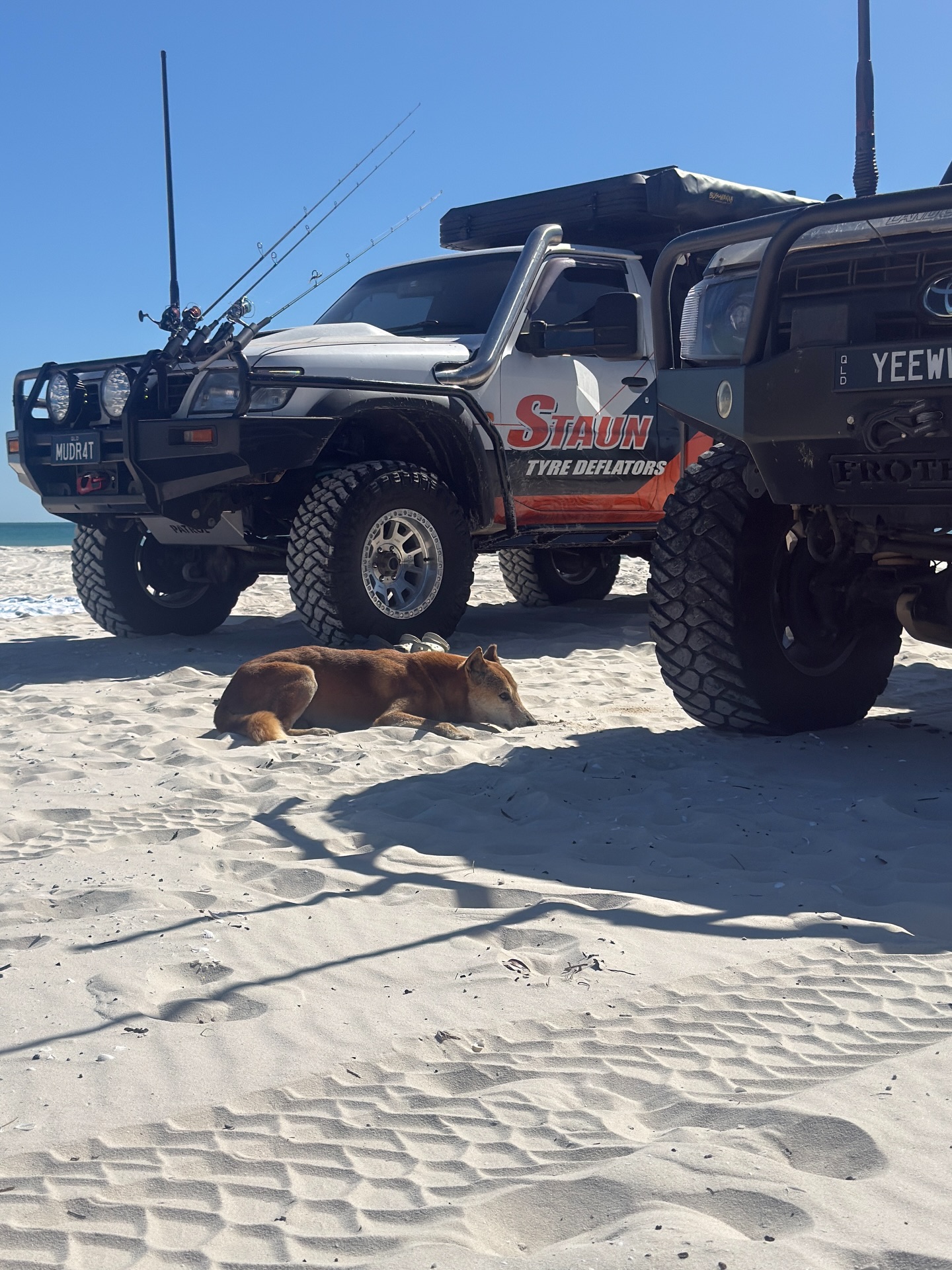 Bilder